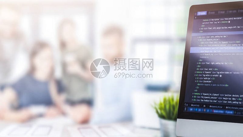 软件开发规范标准：费用背后的价值考量**